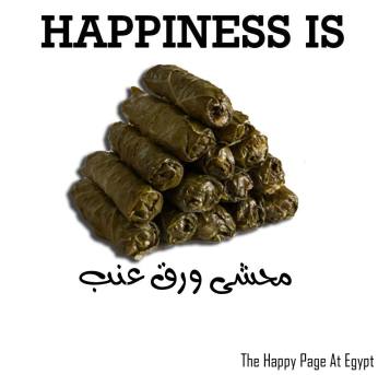 The happy page at Egypt